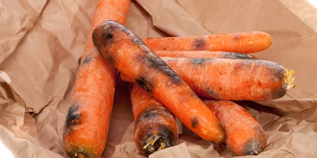how rotting carrots are different from fermented carrots