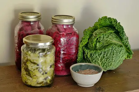 what is the difference between fermenting and rotting foods