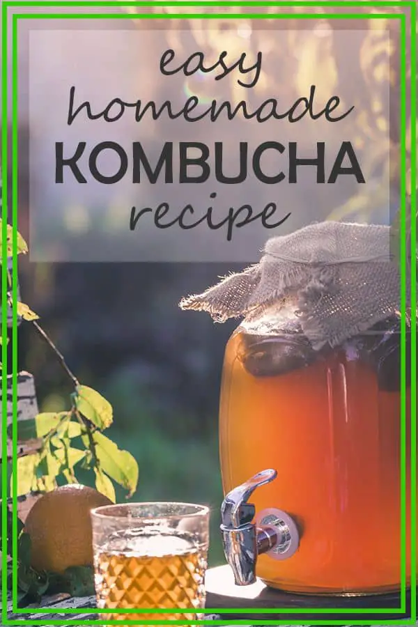 easy-homemade-kombucha-recipe-by-fermenters-kitchen