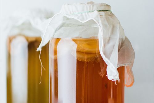 Kombucha Recipe 1 Gallon ⋆ Fermenters Kitchen