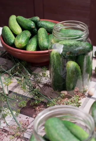 make-fermented-pickles-crunchy-with-tannins