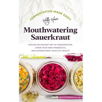 mouthwatering sauerkraut book