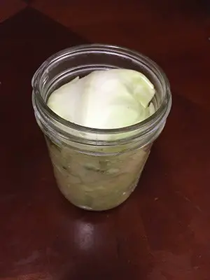 use piece of cabbage as fermentation weight