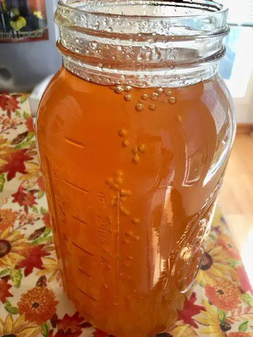 Honey Mead Recipe (an easy onegallon recipe) Fermenters Kitchen