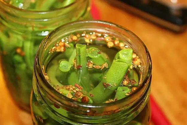 fermented-green-bean-recipe-garlic-dill