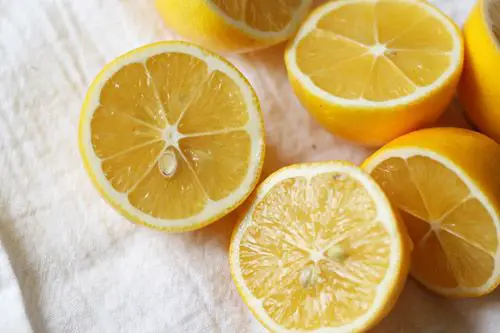 preserved-lemons-recipe-with-salt