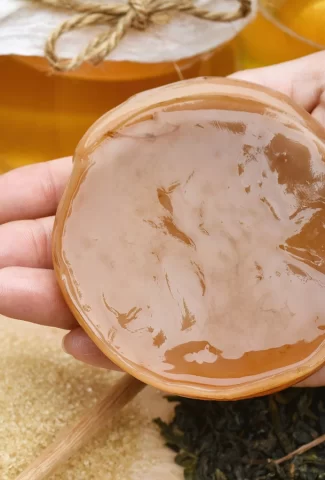 kombucha-scoby-jerky-recipe