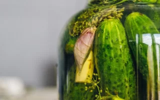 best brands of pickles for gut health probiotics