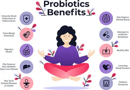 probiotic benefits vector graphic