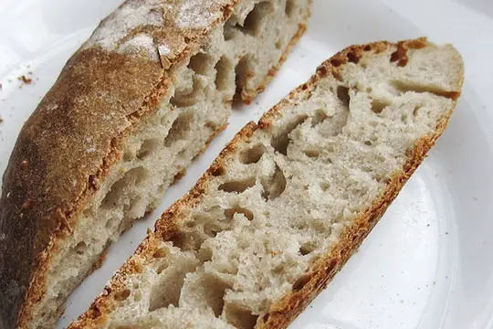 best long toaster for sourdough bread