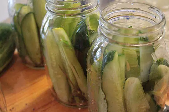 process of pickling cucumbers