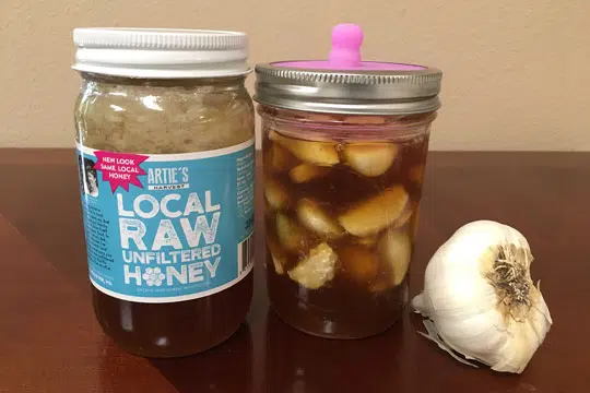 garlic honey ferment in jar