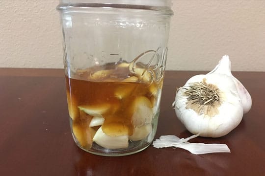 jar of honey garlic fermenting