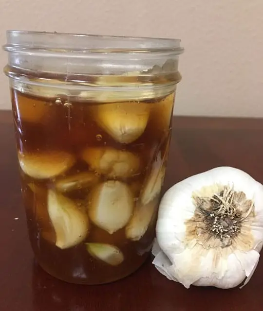 try this easy fermented honey garlic recipe in jar