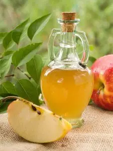 apple cider vinegar and apple slice