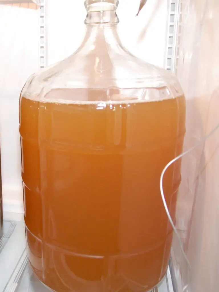 mead in carboy in the fridge