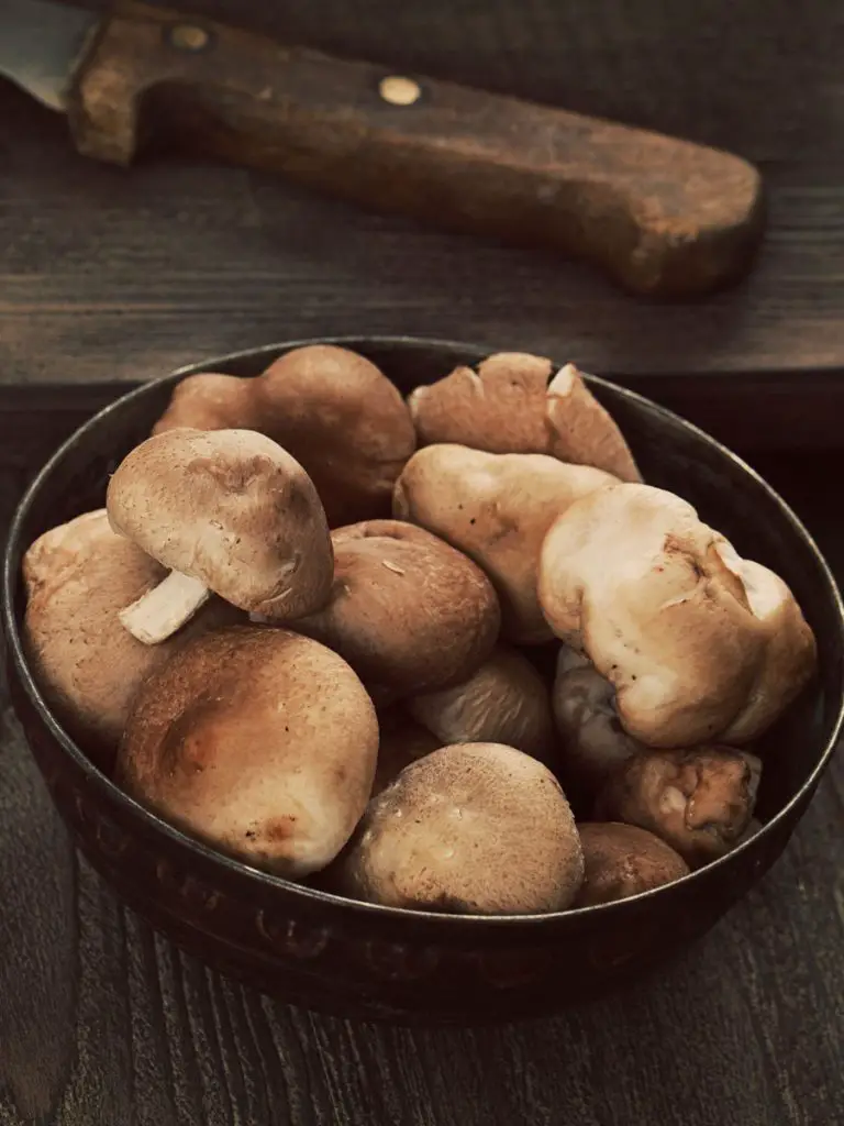 ferment shiitake mushrooms recipe