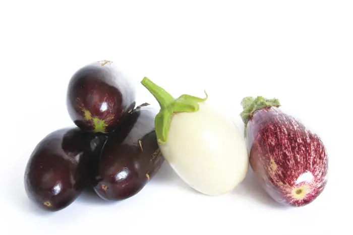 eggplant types and flavors