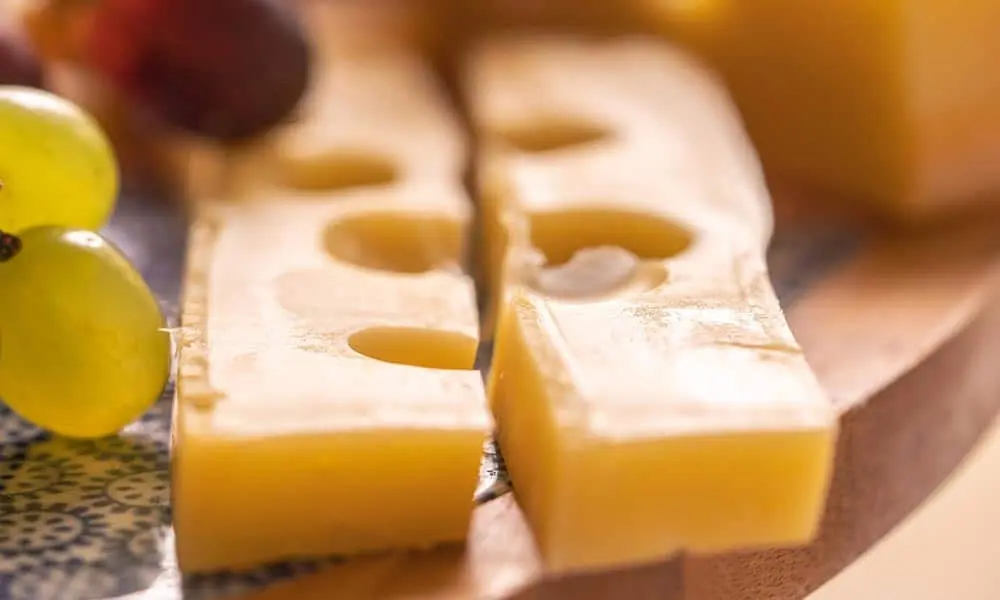 cheese for gut health