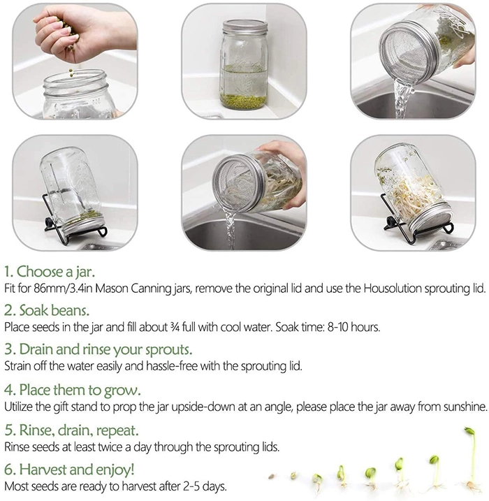 sprouting seeds in a jar tutorial